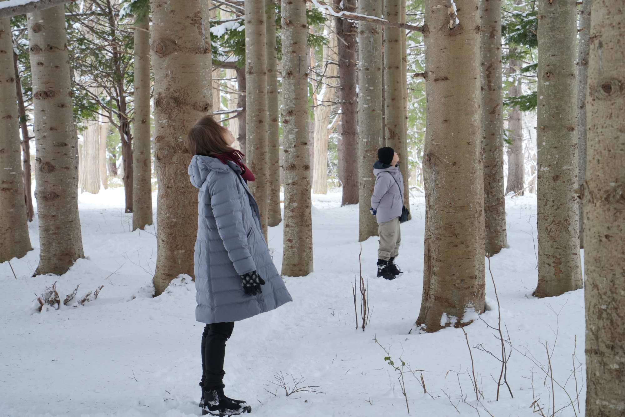 メンタルセルフケア研修